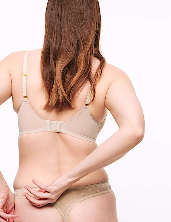 מארז 3 תחתוני חוטיני רקומים מבד מש עם דוגמת חרציות - IL