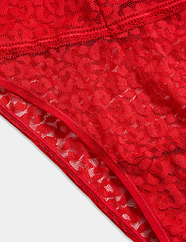 Animal Print Lace Miami Knickers