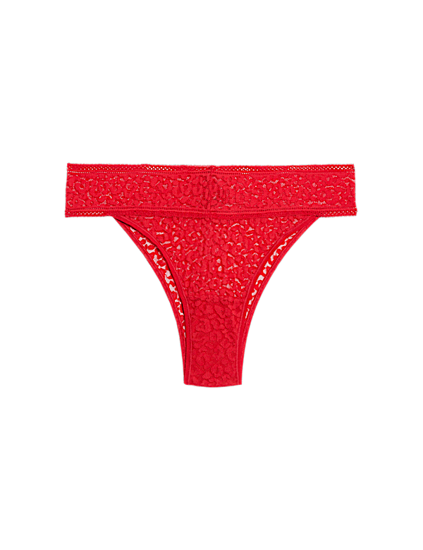 Animal Print Lace Miami Knickers