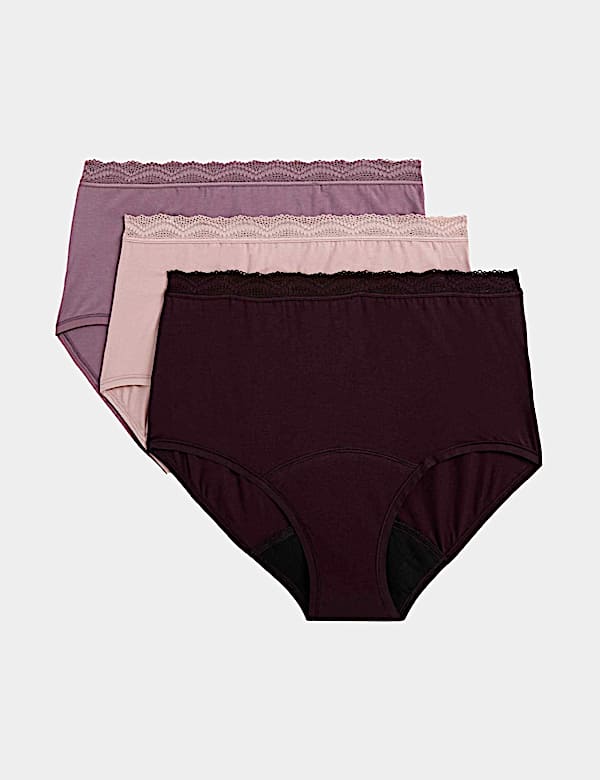 3pk Heavy Absorbency Period Full Briefs - US