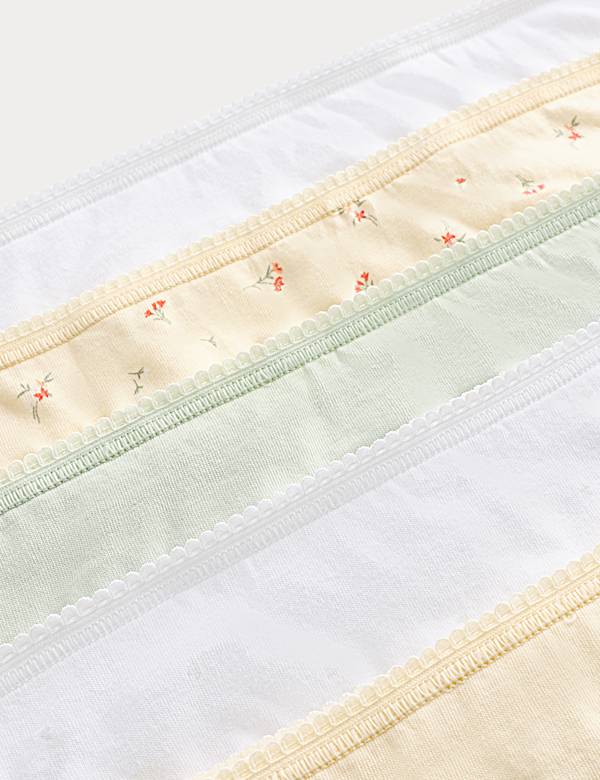 5pk Pure Cotton Bikini Knickers