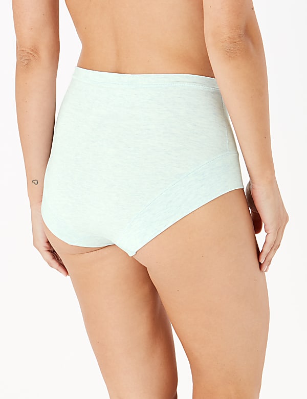 Flexifit™ Modal Full Briefs
