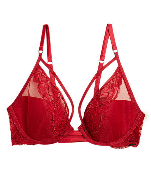 Calvi Embroidery Wired Plunge Bra A-E