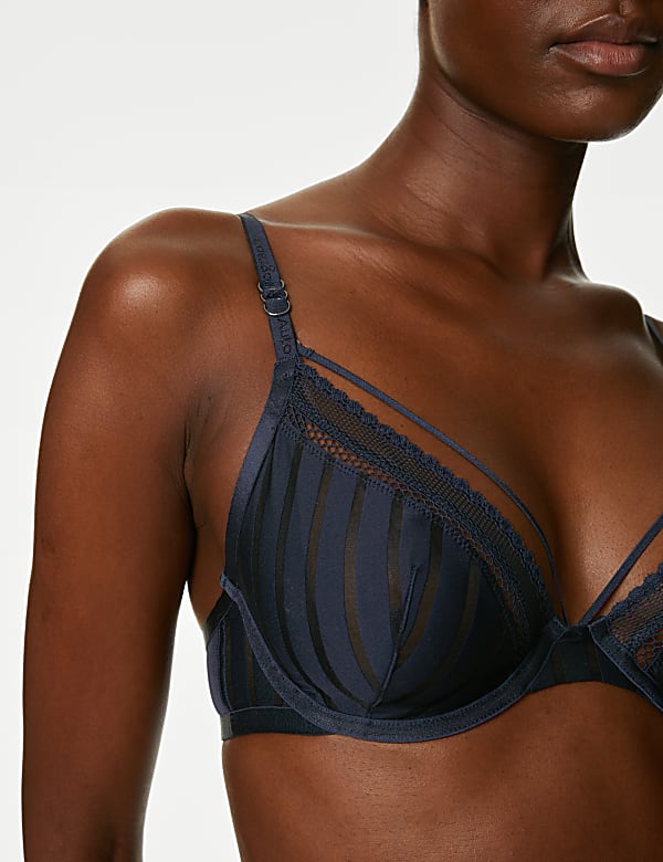 Mesh Striped Wired Plunge Bra A-E