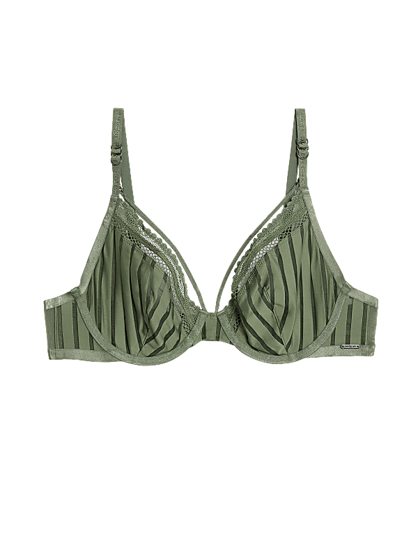 Mesh Striped Wired Plunge Bra A-E
