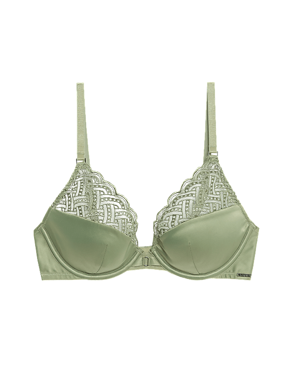 Belize Embroidery Wired Plunge Bra