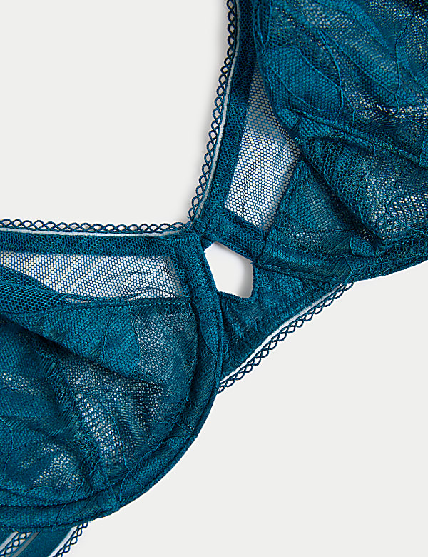 Valencia Lace Wired Full Cup Bra (A-E)