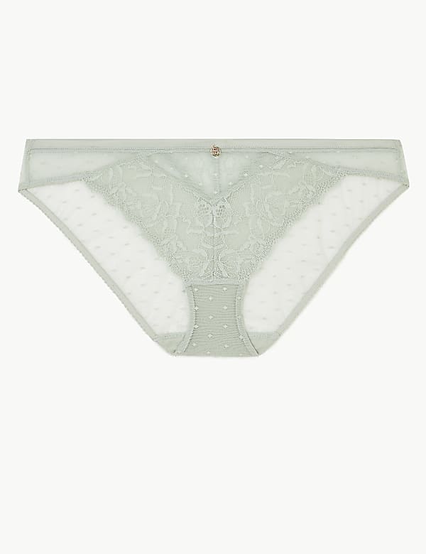 Mesh & Lace Bikini Knickers