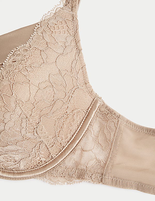 Lace Wired Full Cup Bra With Silk A-E