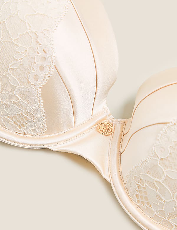 Lace Wired Full Cup Bra With Silk A-E