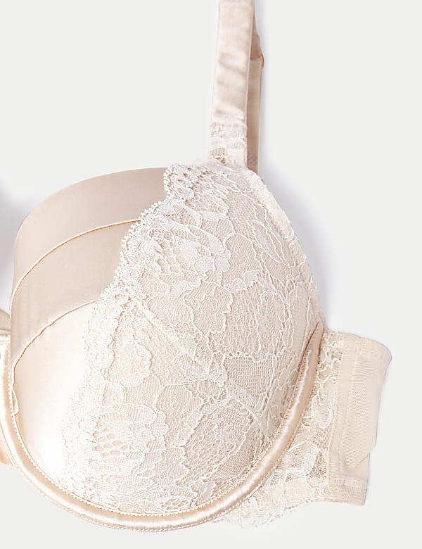 Lace Wired Full Cup Bra With Silk A-E
