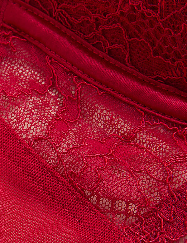 Lace Wired Full Cup Bra With Silk A-E