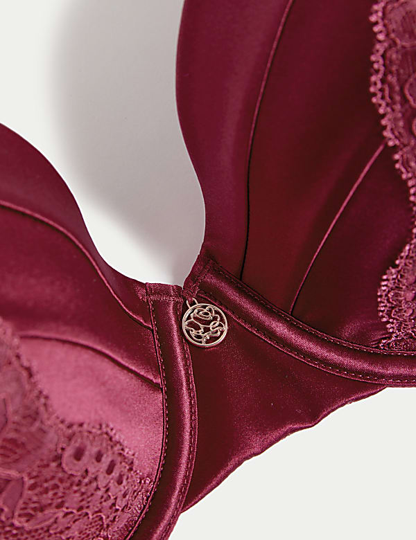 Lace Wired Full Cup Bra With Silk A-E