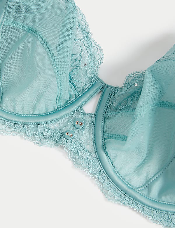 Aster Sparkle Lace Wired Balcony Bra A-E