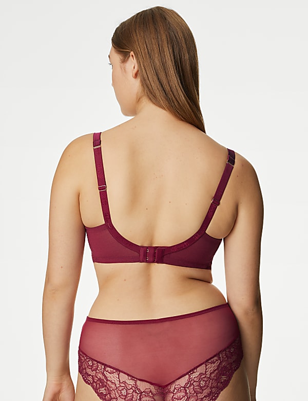 Claret Silk & Lace Wired Full Cup Bra F-H