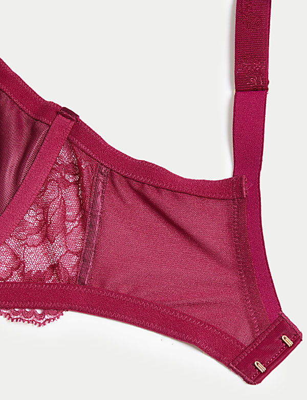 Claret Silk & Lace Wired Full Cup Bra F-H