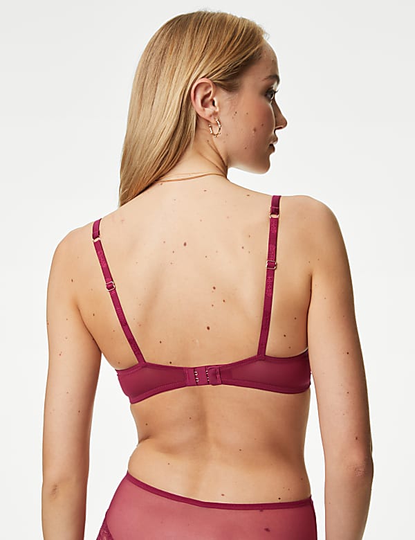 Claret Silk & Lace Wired Plunge Bra A-E