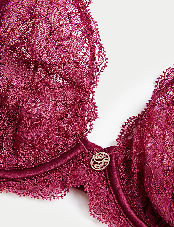 Claret Silk & Lace Wired Plunge Bra A-E