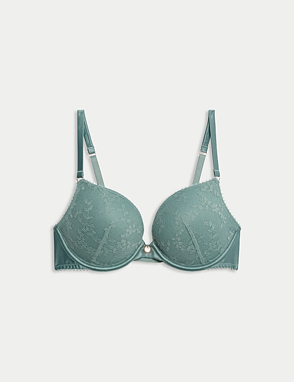 Rosa Lace Wired Push-Up Plunge Bra A-E - ID