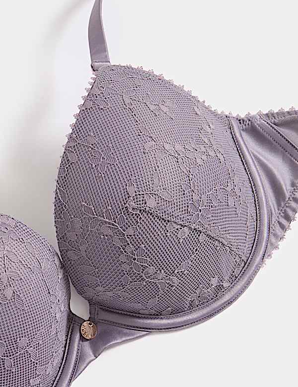 Rosa Lace Wired Push-Up Plunge Bra A-E