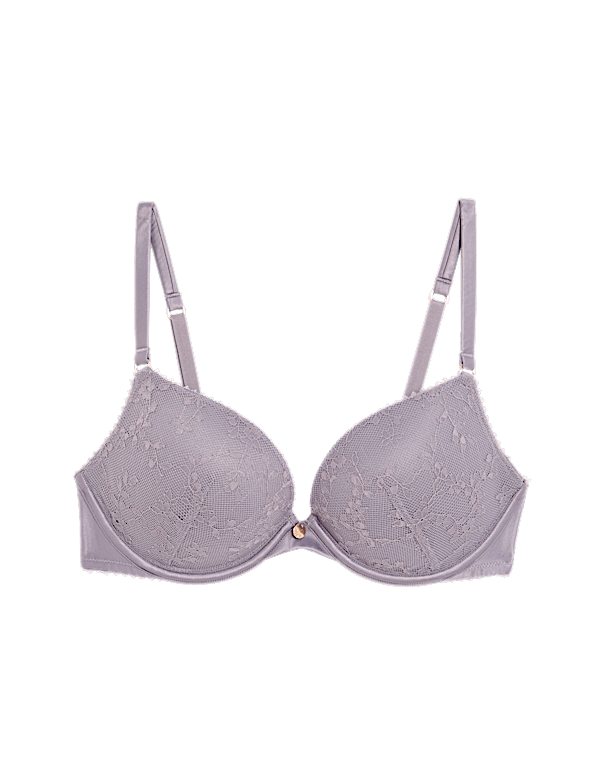 Rosa Lace Wired Push-Up Plunge Bra A-E