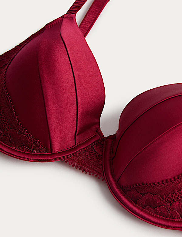 Silk & Lace Wired Full Cup Bra A-E
