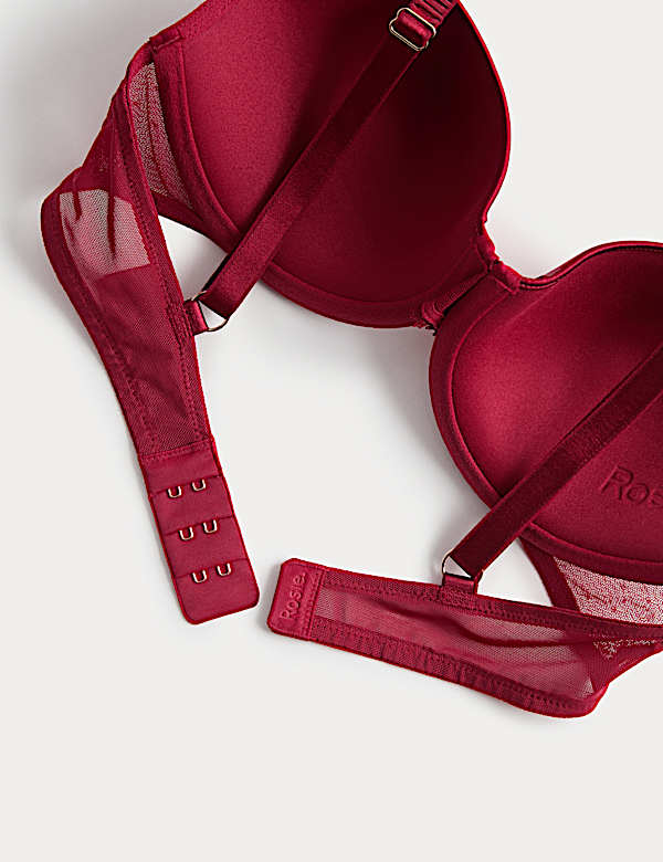 Silk & Lace Wired Full Cup Bra A-E