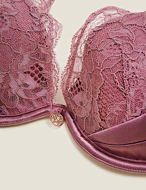 Silk Beau Wired Plunge Bra A-E