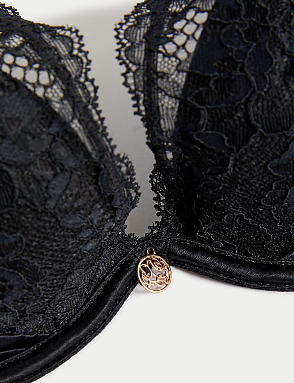 Silk Beau Wired Plunge Bra A-E