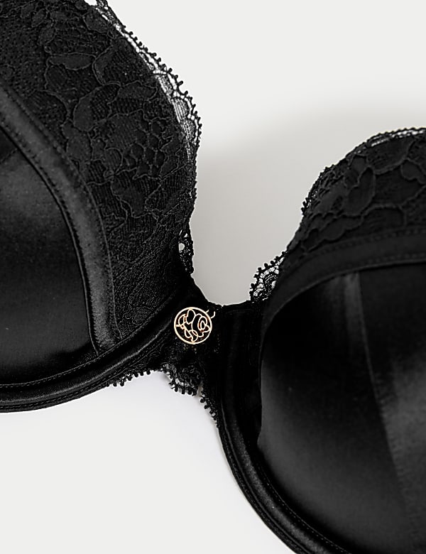 Silk & Lace Wired Plunge Bra A-E