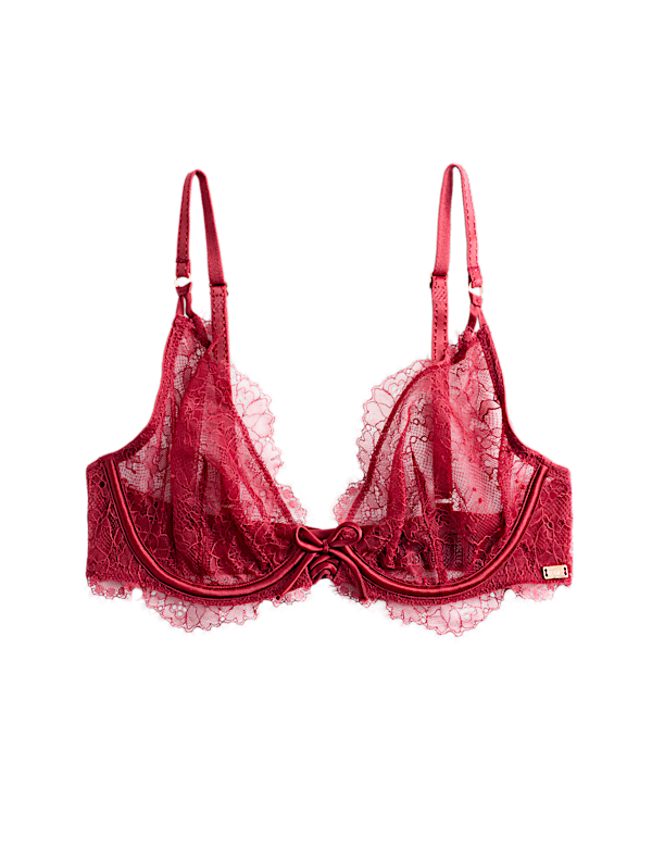 Forget Me Not Lace Wired Plunge Bra (A-E)