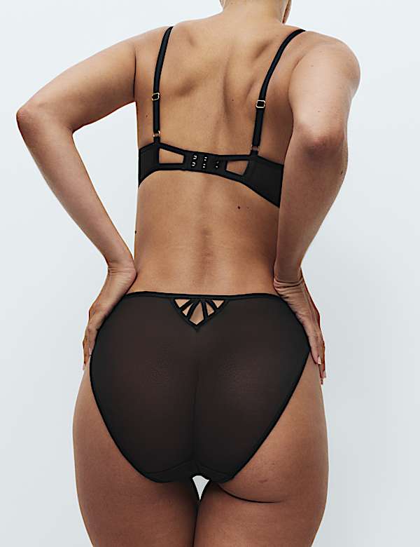 Isabella Embroidered Mesh High Leg Knickers - VN