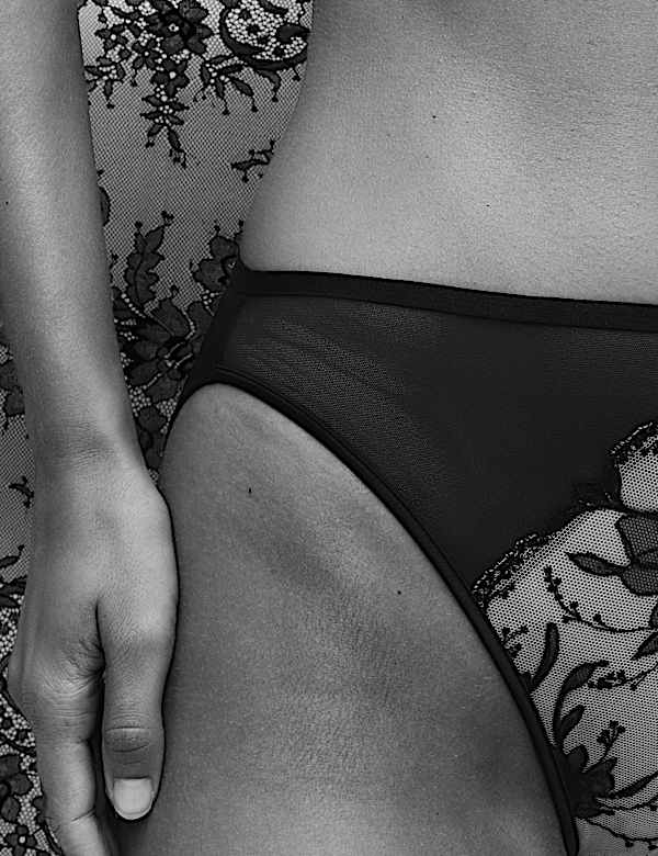 Isabella Embroidered Mesh High Leg Knickers - VN