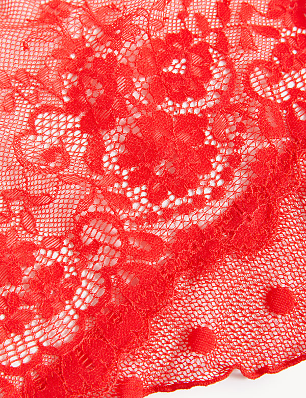 Linea Lace Body