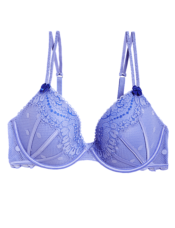 Linea Lace Wired Plunge Bra A-E