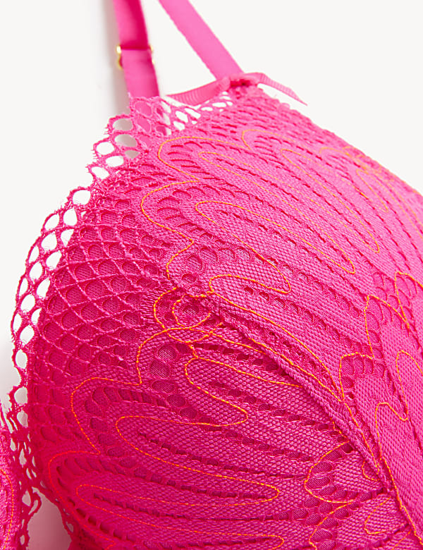 Nova Lace Wired Push-Up Bra