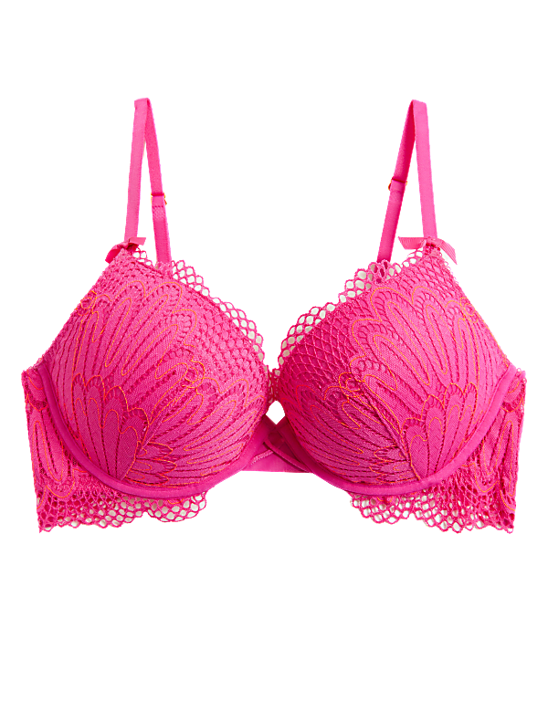 Nova Lace Wired Push-Up Bra
