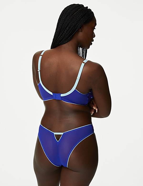 Carissa Embroidery Miami Knickers