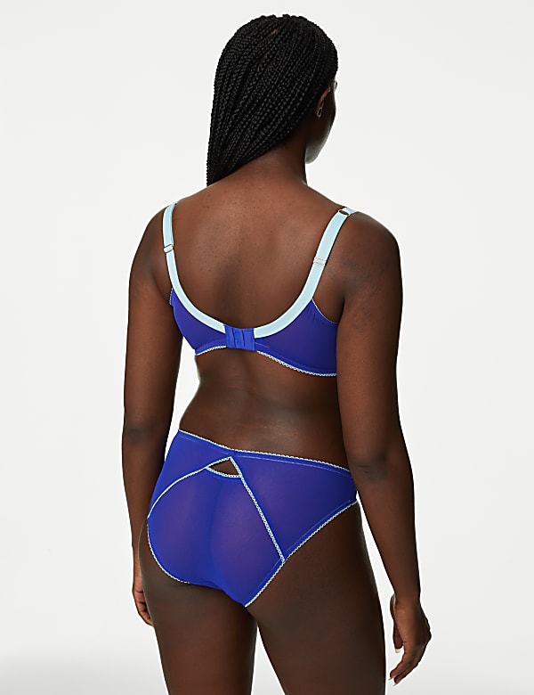Carissa Embroidery High Leg Knickers