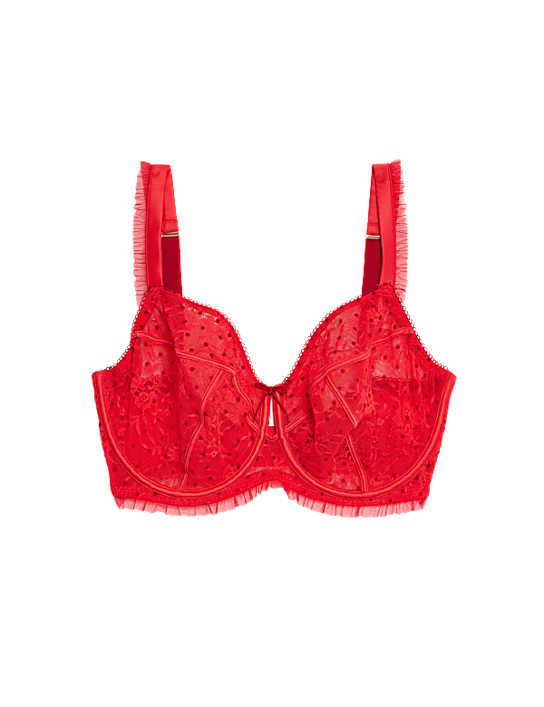 Anna Lace Wired Minimiser Bra C-G