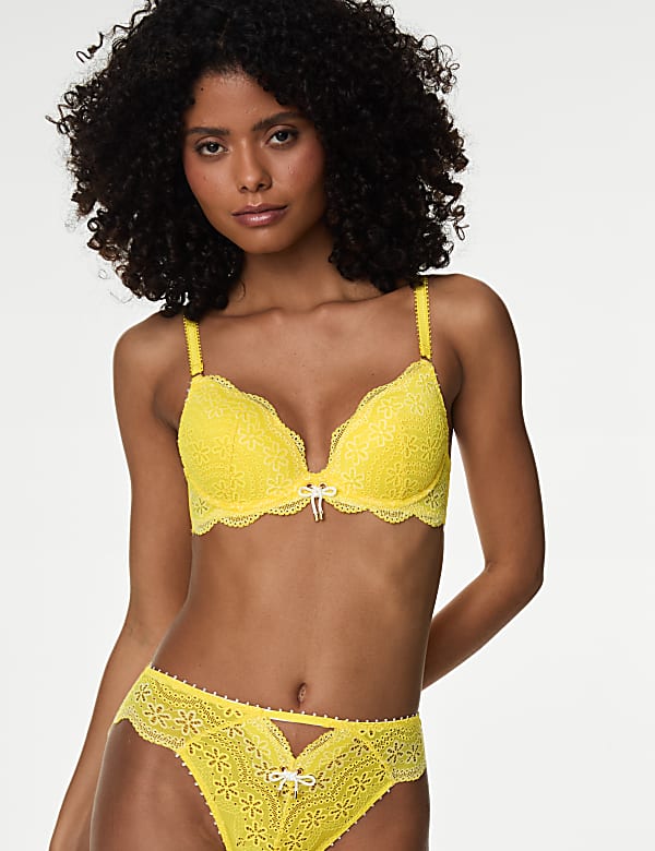 Lova Embroidered Wired Plunge Bra