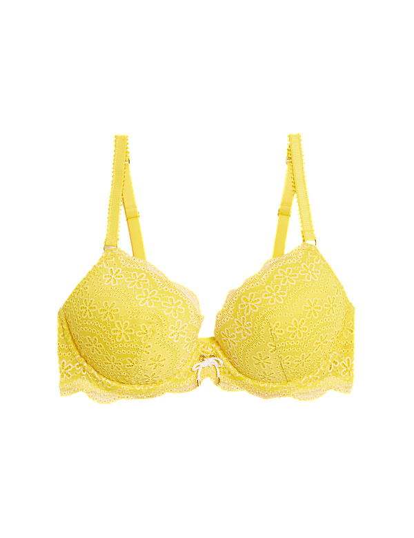 Lova Embroidered Wired Plunge Bra