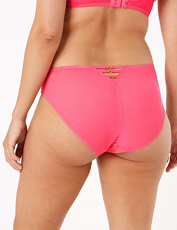 Embroidered Mesh High Leg Knickers
