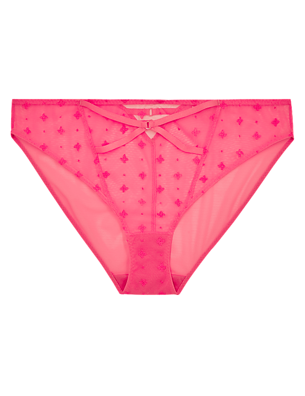 Embroidered Mesh High Leg Knickers