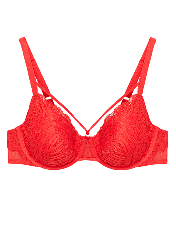 Scallop Lace Padded Full Cup Bra A-E