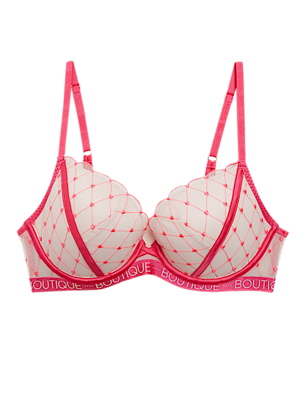 Lucia Heart Embroidery Wired Plunge Bra A-E