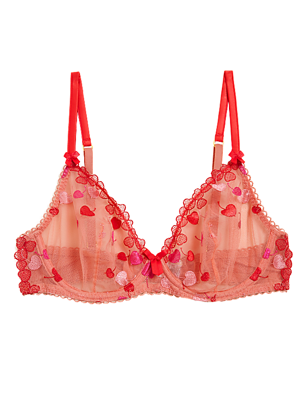 Christelle Embroidered Plunge Bra A-E