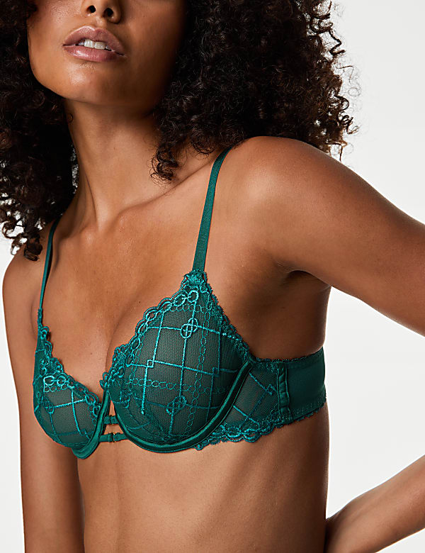 Anelli Embroidery Wired Balcony Bra (A-E) - FI