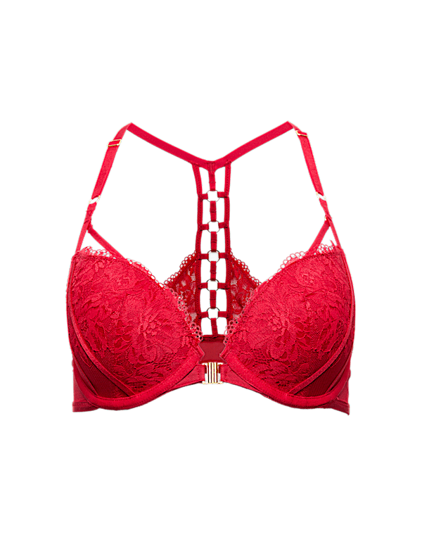 Vera Lace Wired Push Up Plunge Bra (A-E)