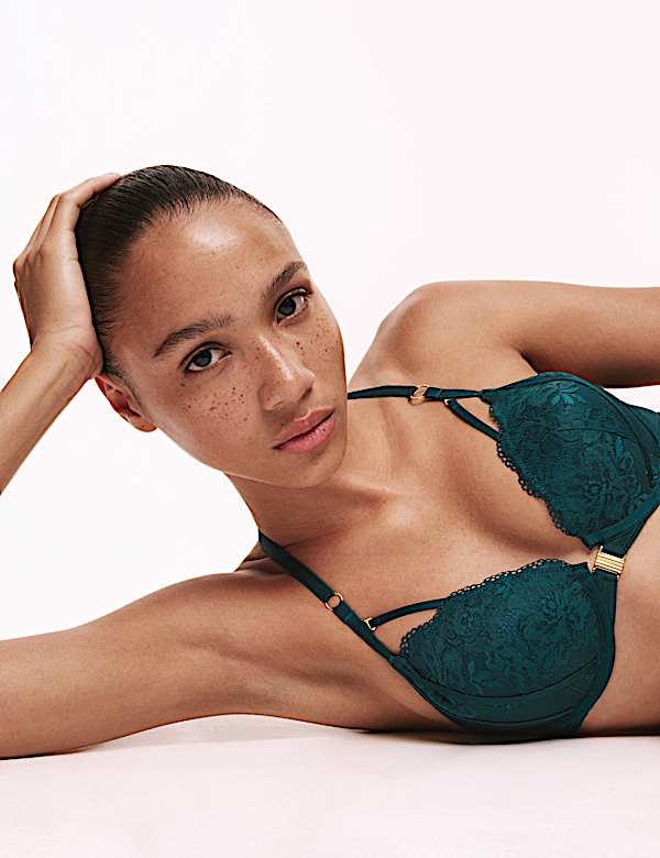 Vera Lace Wired Push Up Plunge Bra (A-E) - BE